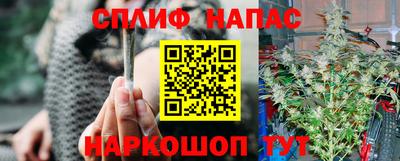 крисы Волгодонск