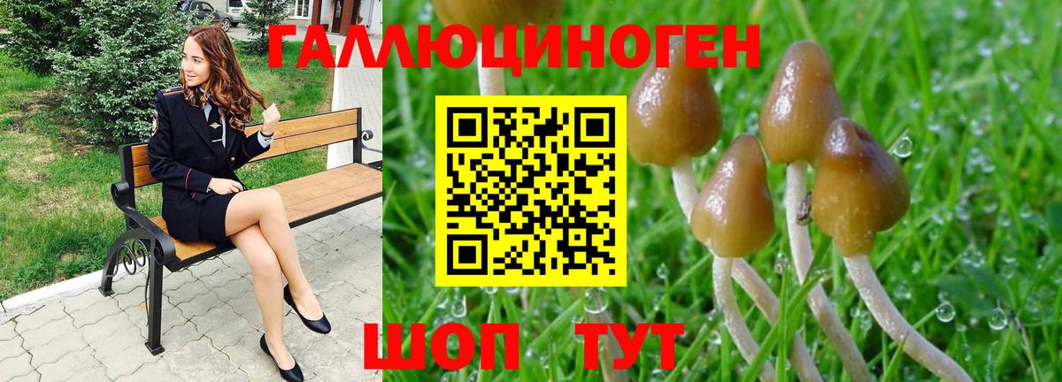 Нововоронеж  Псилоцибиновые грибы Cubensis  купить закладку  Вход с VPN  Галлюциногенные грибы GOLDEN TEACHER 